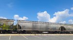 BNGX 31710